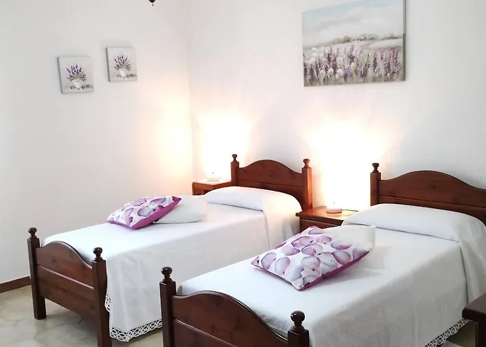 Daire Rustic Charm 5